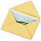Greeting Card – Sahotra Floral Company Llc, Albuquerque NM