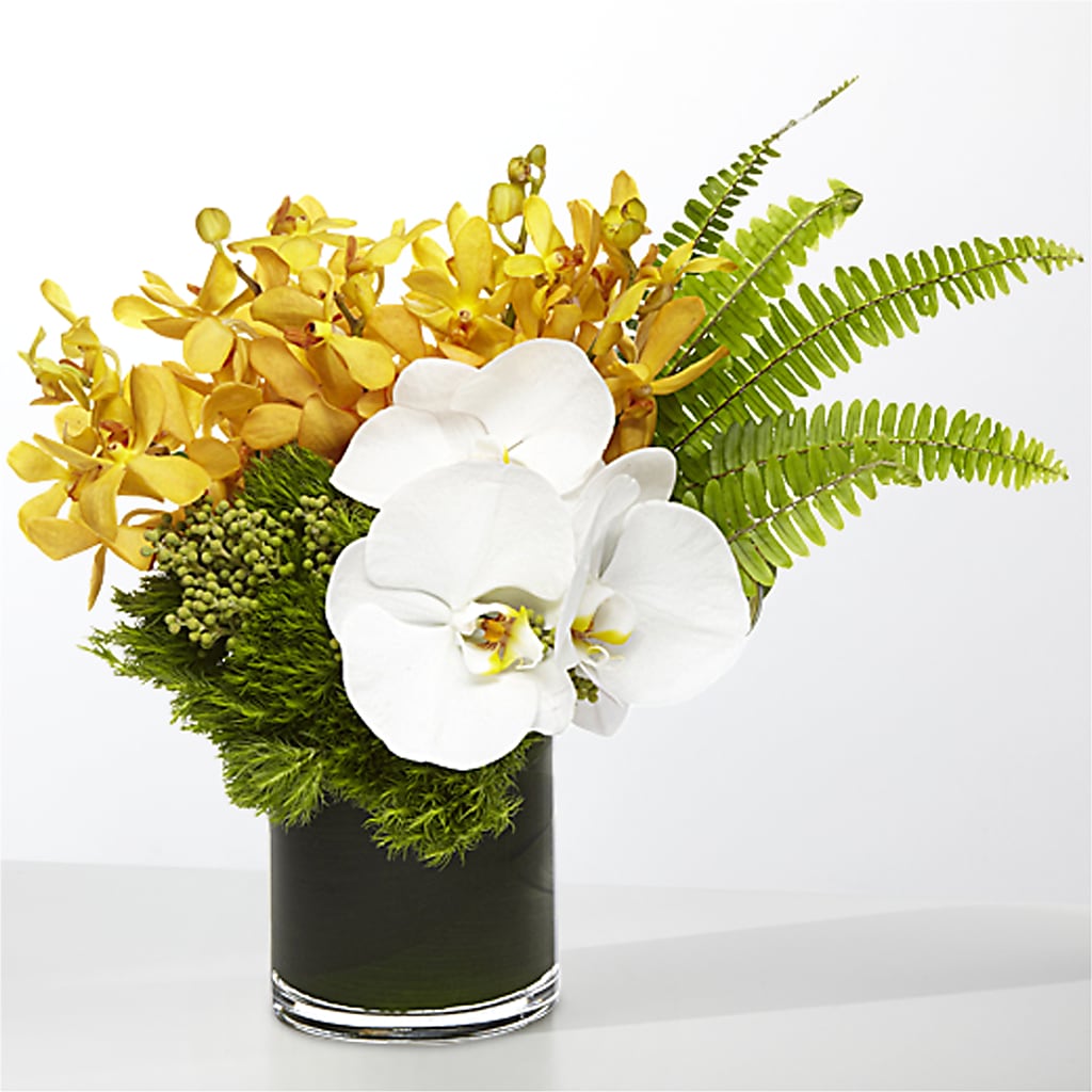 The Tropics –  Sahotra Floral Company Llc, Albuquerque NM