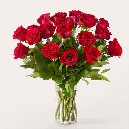 The One Red Rose Bouquet –  Sahotra Floral Company Llc, Albuquerque NM