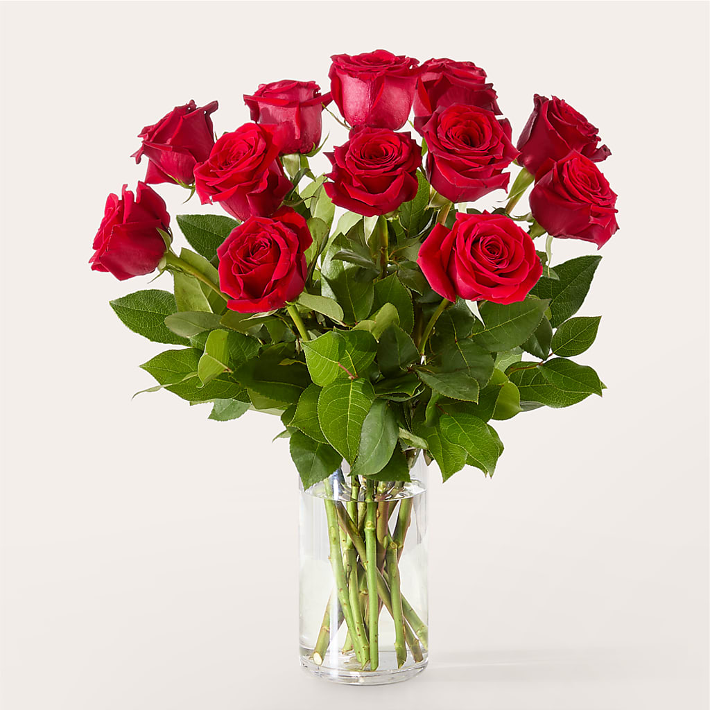 The One Red Rose Bouquet –  Sahotra Floral Company Llc, Albuquerque NM