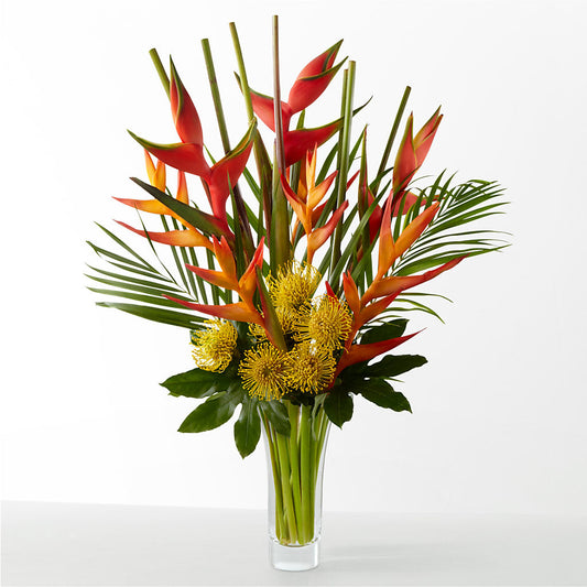 The Drama –  Sahotra Floral Company Llc, Albuquerque NM